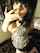 What's the name of this porn star?