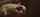 What's the name of this porn star?