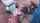 What's the name of this porn star?