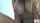 natural