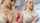 brazzers