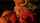 What's the name of this porn star?