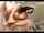 I m know who is she (Asa Akira), but couldmt find full video...