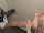 blond girl on girl kink