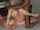 What's the name of this porn star?