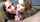 clips4sale