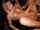 What's the name of this porn star?