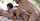 brunette eroticax