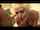 jav blonde r18