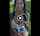 Who is this girl ?