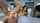 cuckold wife cheating