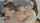What's the name of this porn star?