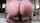 A thread of pornstar bouncing up and down on a dick