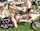 What's the name of this porn star?