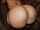 Name?