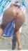 milf wife beach