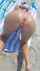 milf wife beach