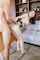 jav blowjob brunette