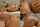 clips4sale