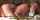 What's the name of this porn star?