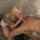 What's the name of this porn star?