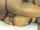 couple chaturbate