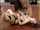 What's the name of this porn star with video?