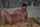 What's the name of this porn star?