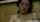 What's the name of this porn star?