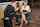 What's the name of this porn star?