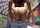 pornstar tattoo booty