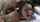 What's the name of this porn star?