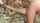 What's the name of this porn star?