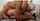 What's the name of this porn star?