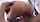What's the name of this porn star?