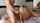 clips4sale