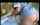 caught brazzers