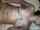 What's the name of this porn star?