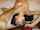 teen petite cheating