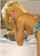 What's the name of this porn star?