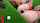 anal