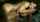 What's the name of this porn star?