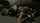 What's the name of this porn star?