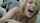 mfc camgirl doggy