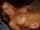 What's the name of this porn star?