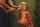brazzers
