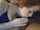 cam double blowjob chaturbate