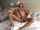 brunette shaved facial