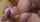 bangbros pov