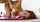 What's the name of this porn star?